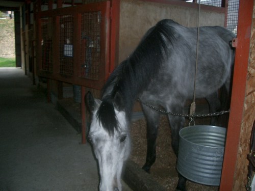 2015.3.17気温22度001