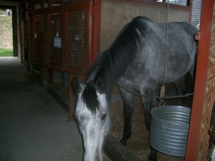 2015.3.17気温22度001