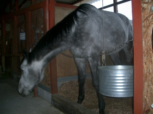 2015.3.17気温22度002