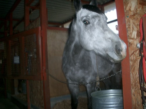 2015.3.17気温22度003