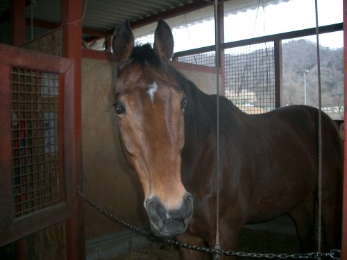 2015.3.17気温22度004