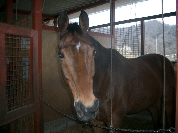 2015.3.17気温22度004