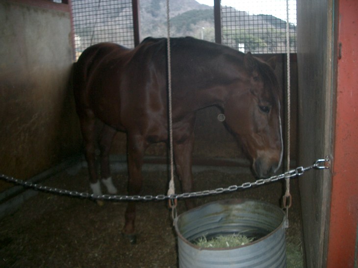 2015.3.17気温22度005