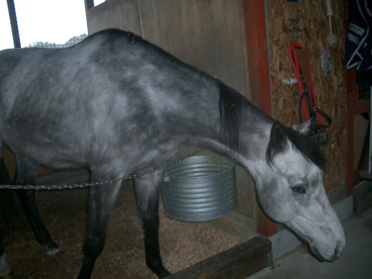 2015.3.17気温22度006