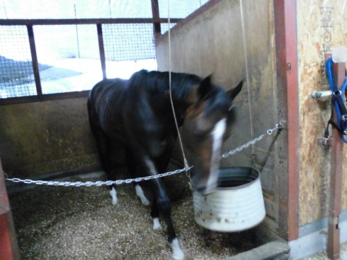 ケーエスミラージュ